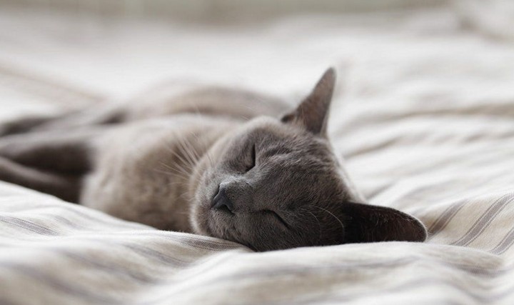 здоровый сон здоровый сон