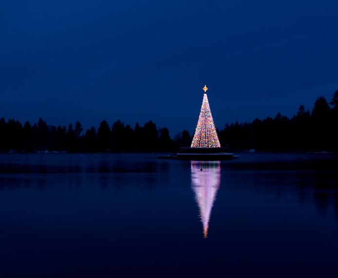 Ёлка на озере в парке Ванкувера