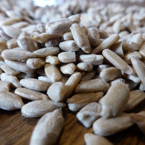 семена подсолнуха семена подсолнуха