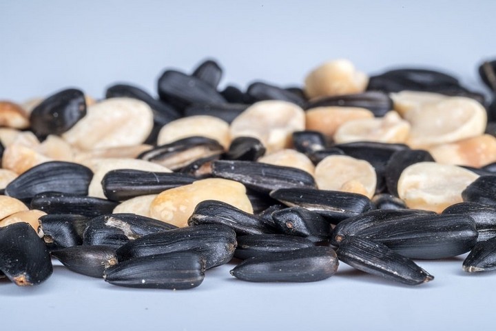 семена семена