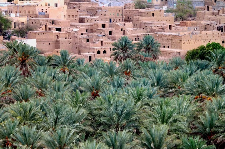 оазис оазис