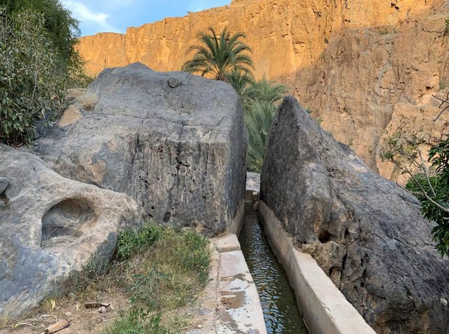 оазис в омане