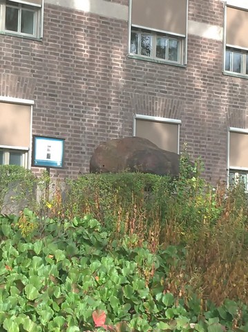 железный камень железный камень