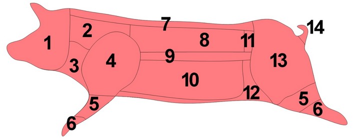 схема свиньи