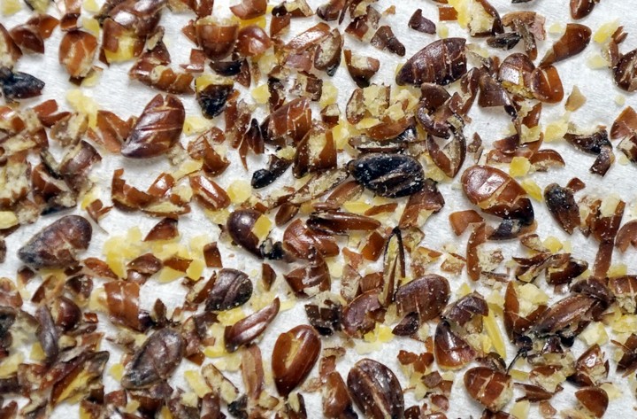 измельченный лен