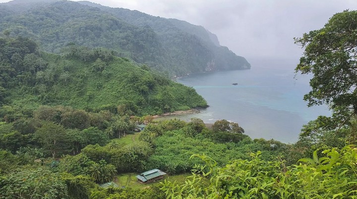 джунгли джунгли