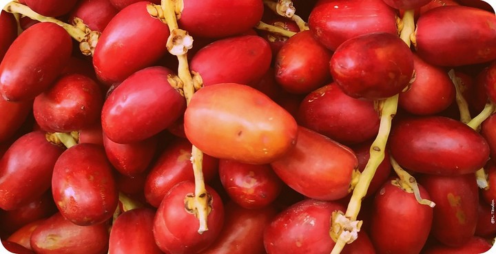 свежий финик