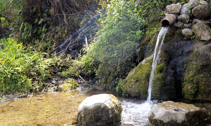 сырая вода сырая вода