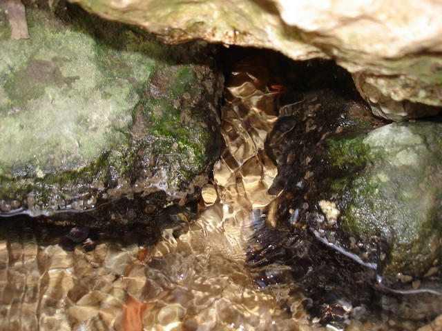 сырая вода сырая вода