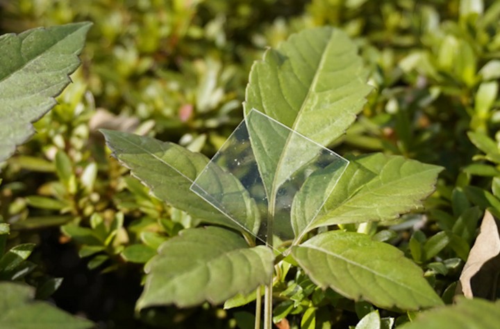 новый пластик новый пластик