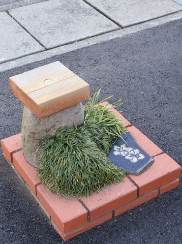 рекорд парка