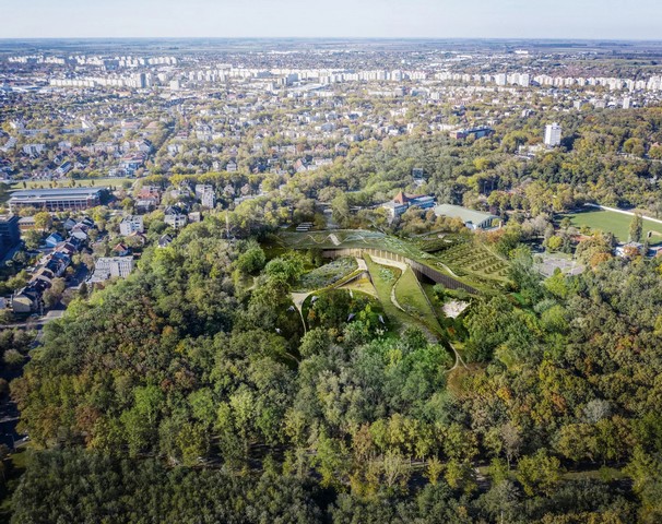 лес вокруг музея