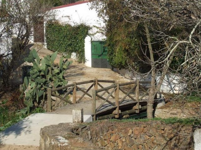 международный мост