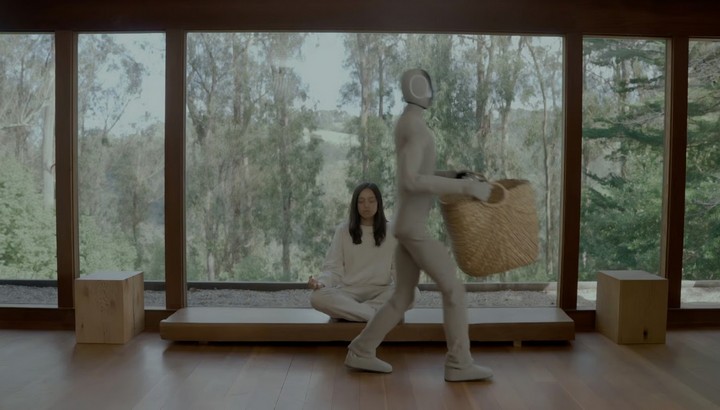 роботизированная прислуга роботизированная прислуга