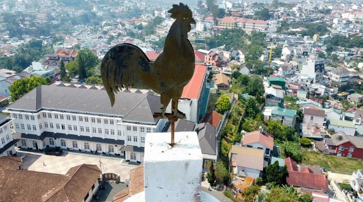 собор петуха