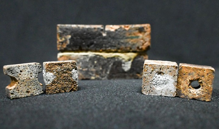 бактерии и лунная почва бактерии и лунная почва