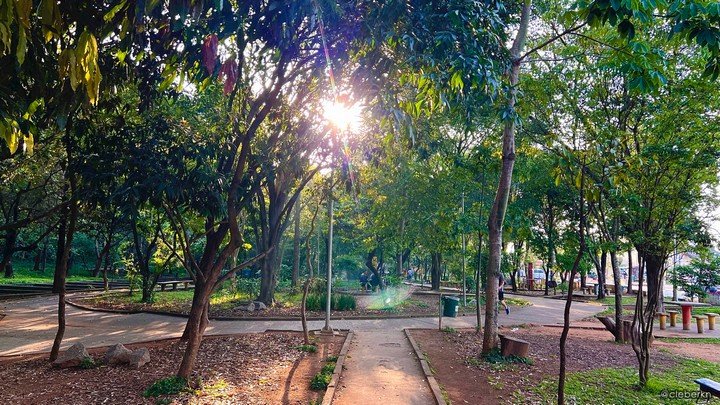 парк силвы парк силвы