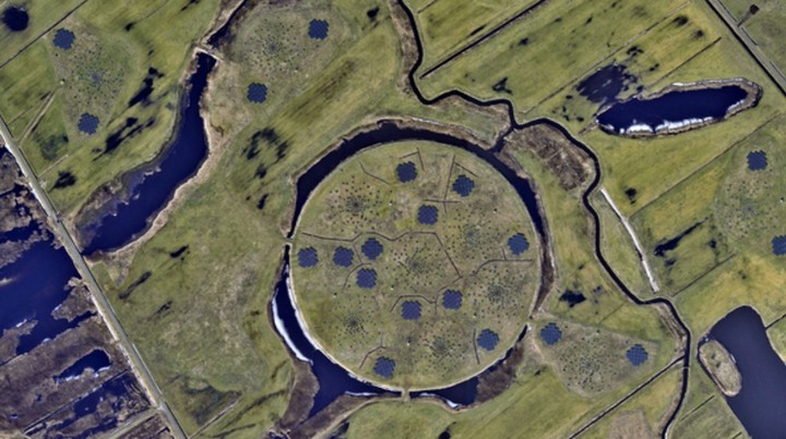 фото с высоты птичьего полета фото с высоты птичьего полета