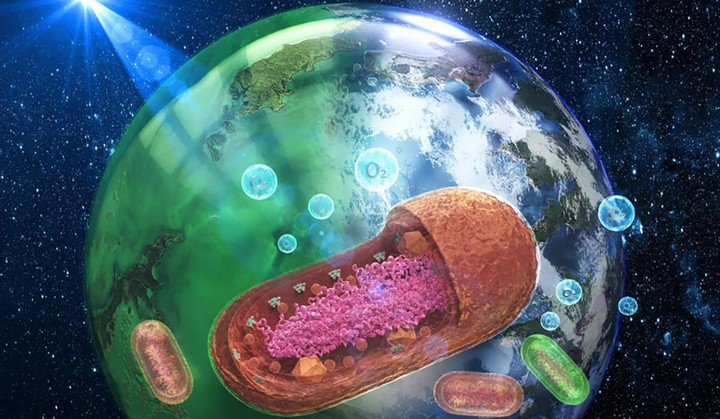 цвет океана цвет океана