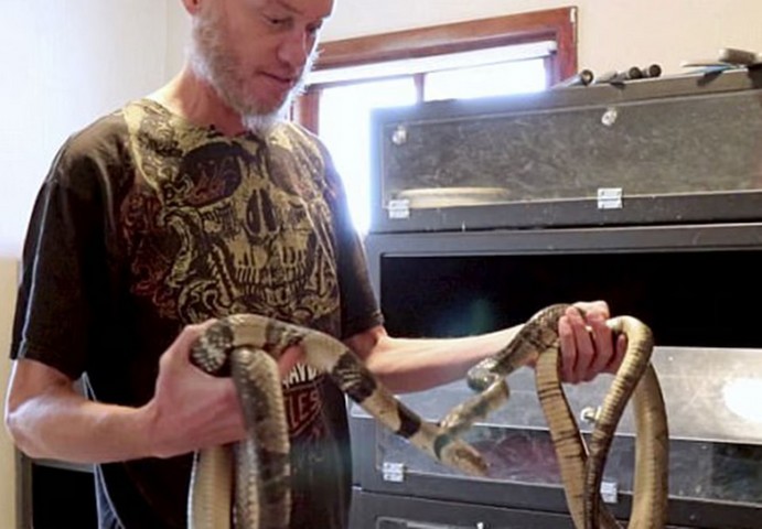 змеи в руках змеи в руках