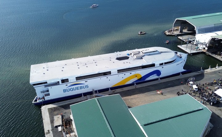 чайна зорилла