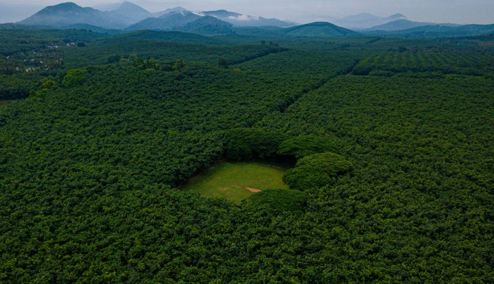 красивое поле для крикета