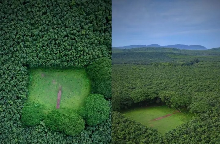 поле в керале