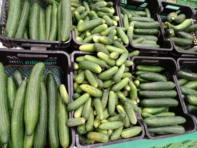 огурцы на прилавке