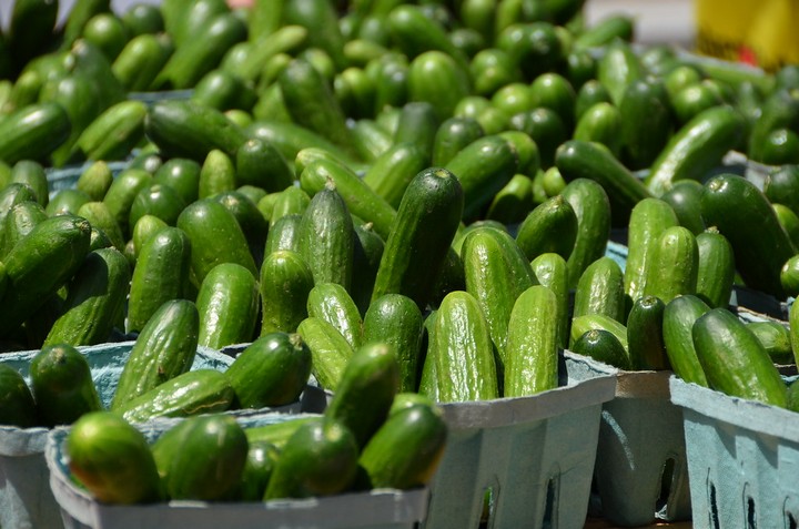 польза огурцов