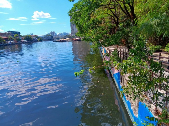 озеро в парке озеро в парке