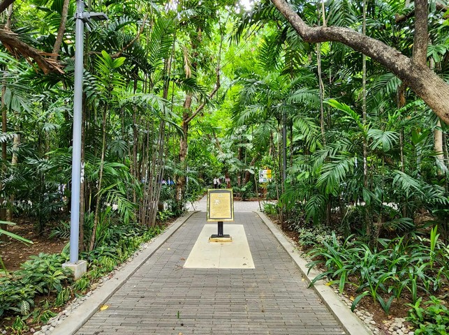 лесопарк арросерос