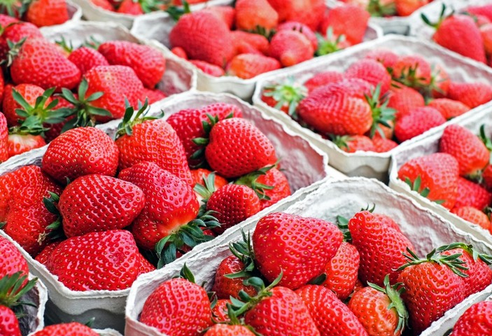 клубника в лотках