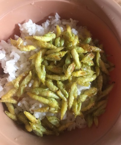 гусеницы с рисом