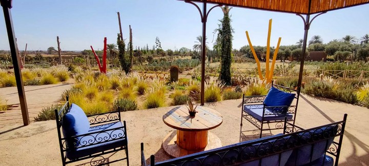 кактусовая ферма кактусовая ферма