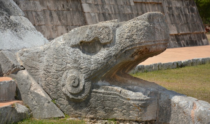 статуя змеиная голова статуя змеиная голова