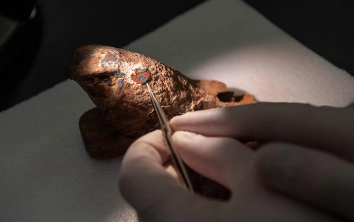 процесс воссоздания пигмента процесс воссоздания пигмента