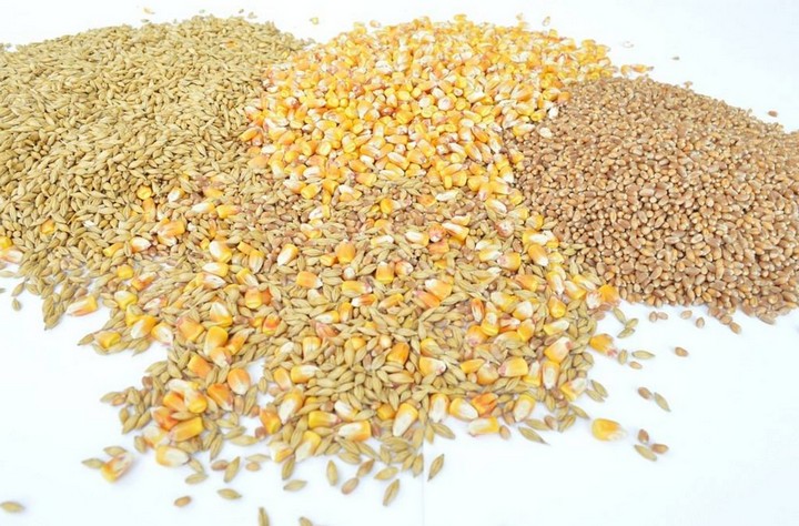 цельные зерна