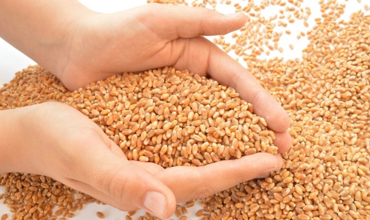 полезные продукты