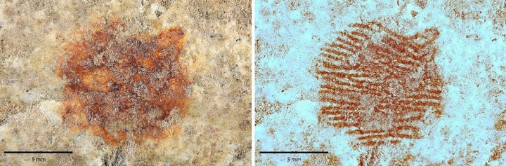 отпечаток пальца