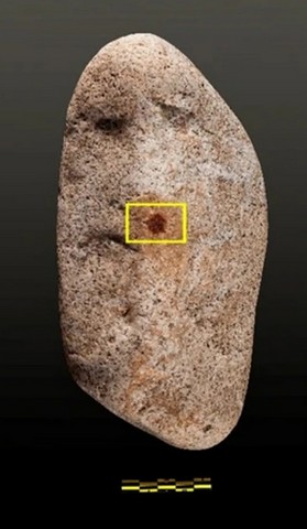 отпечаток неандертальца