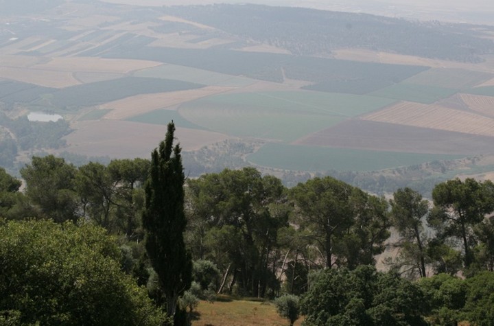 лес и поля лес и поля