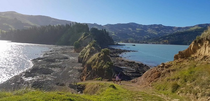 онаве онаве