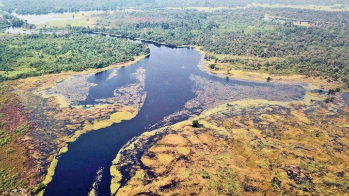 темная река темная река