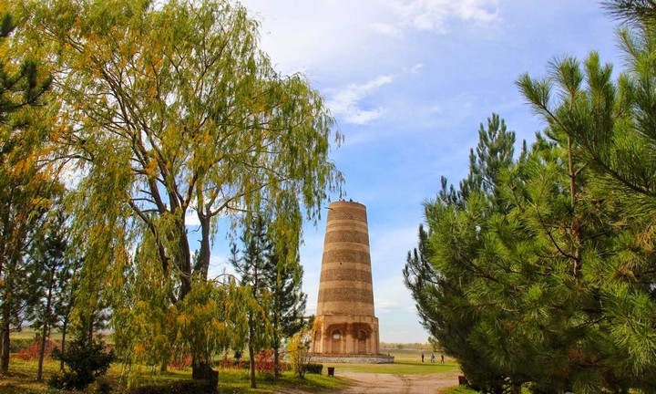 башня и деревья башня и деревья