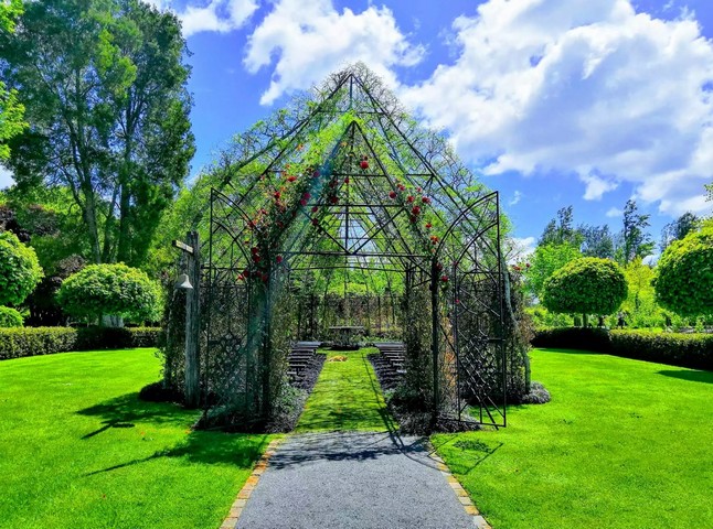 собор из деревьев