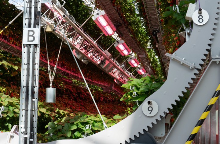 автоматическое выращивание автоматическое выращивание