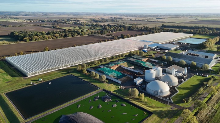 комплекс дайсон