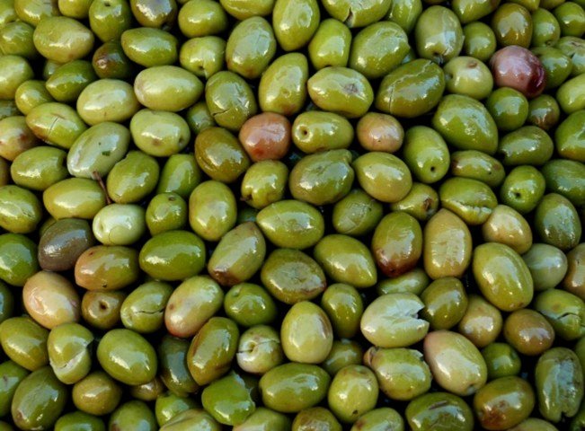 оливки оливки