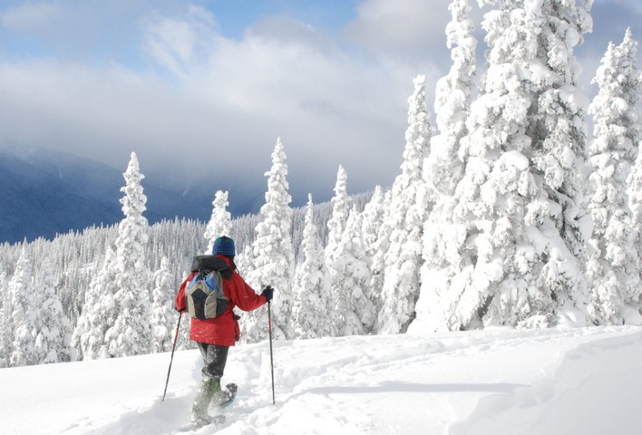 снег под ногами снег под ногами