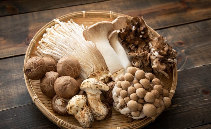 грибы грибы